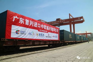 廣東首列進(jìn)口中歐班列抵達(dá)石龍，助力廣州物流公司拓展國際業(yè)務(wù)